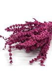 Şoklanmış Doğal Lavanta Demeti Natural Lavender Bundle Fuşya 40-50 Cm