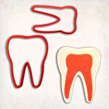 Diş Detay Kurabiye Kalıp Seti 2’li