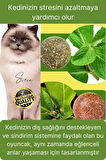Doğal Avokado Kedi Nanesi Otu Topu Oyuncağı Yapışkanlı Yalama Sakinleştirici Catnip Yenilebilir Çimi