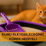 Kedi Tuvaleti Kürek Hediyeli Kedi Köpek Eğitim Tuvaleti Büyük Boy Tuvalet Kabı Mor Kedi Tuvalet Seti