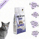 CATBRAVO Aktif Topaklanan Lavanta Kokulu Kedi Kumu 10 Lt X 2 Adet