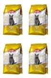 Energy Tavuklu Yetişkin Kedi Maması 500 G - 4 Adet