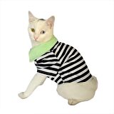 Grass Hopper Stripe Polo Yaka Tişört Kedi Kıyafeti  Kedi Elbisesi
