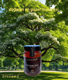 Kestane Balı %100 Saf ve Doğal 450g