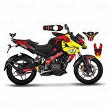 Bajaj Pulsar 200 NS Motobul 41 Design Sticker Set