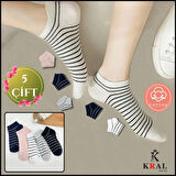 KRAL SOCKS Kadın Çorap (5 ÇİFT) Çizgi Desenli Kısa Renkli Patik Çorap