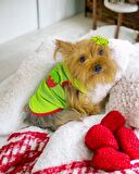 Pink Strawberry Atlet Köpek Kıyafeti  Köpek Elbisesi