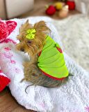 Pink Strawberry Atlet Köpek Kıyafeti  Köpek Elbisesi