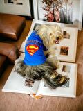 Superman Köpek Tişört Köpek Kıyafeti