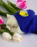 Navy Bee Kedi Tulumu Kedi Kıyafeti