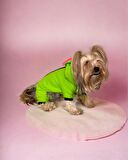 Shipy Pink Stripe Kulaklı Duo Köpek Tulumu Kıyafeti