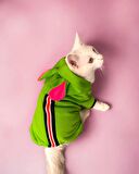 Shipy Pink Stripe Duo Kulaklı Kedi Tulumu,Kıyafeti