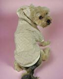 Cream Comfie Köpek Montu, Köpek Ceketi, Köpek Dış Giyim