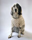 Cream Comfly Köpek Montu, Orta ve Büyük Irklar için