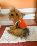 Frilly Pop Atlet Köpek Kıyafeti  Köpek Elbisesi
