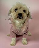 Pink Comfie Köpek Montu, Köpek Ceketi, Köpek Dış Giyim