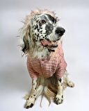Pink Comfly Köpek Montu, Orta ve Büyük Irklar için
