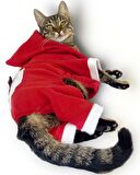 Kırmızı Sevimli Fare Kapşonlu Kedi Tulumu