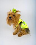 Lime Fuzz Atlet Köpek Kıyafeti  Köpek Elbisesi