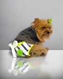 Lime Fuzz Kemique's Secret Köpek İç Çamaşırı Regl Külot Don
