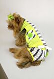 Lime Fuzz Tişört ve İç Çamaşırı Set Köpek Kıyafeti Köpek Kostümü