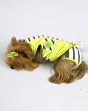 Lime Fuzz Tişört ve İç Çamaşırı Set Köpek Kıyafeti Köpek Kostümü