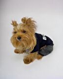 Chique Boss Tulum Köpek Kıyafeti