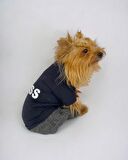 Chique Boss Tulum Köpek Kıyafeti