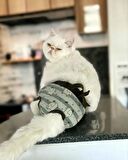 My Elephant Kemique's Secret Kedi İç Çamaşırı  Regl Külot  Don