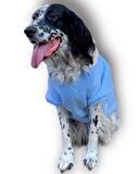Triple Light Blue Kapşonlu Sweatshirt Orta ve Büyük Irklar İçin