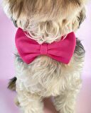 Pinky Pie Köpek Papyonu Kurdela Tasma