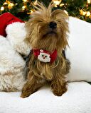 Santa Neo Köpek Papyonu Kurdela Tasma Yılabşı Noel