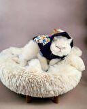 Teddy Roo Kapşonlu Kedi Sweatshirt Kedi Kıyafeti Kedi Elbisesi Kedi Giyim 