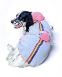 Pocket Rainbow Sweatshirt Orta ve Büyük Irklar İçin