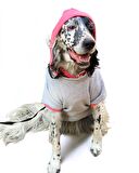 Pocket Rainbow Sweatshirt Orta ve Büyük Irklar İçin