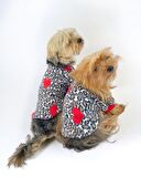 Animal Leo Print Sweat Red Sweat Köpek Kazağı Köpek Poları