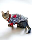 Animal Leo Print Sweat Kedi Süeteri Kedi Kıyafeti 