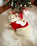 Rudolph Geyikli Kedi Tişörtü Yılbaşı Noel Christmas Kedi Elbisesi