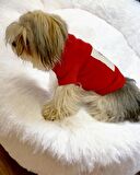 Rudolph Geyikli Köpek Tişörtü Yılbaşı Noel Christmas Köpek Elbisesi
