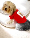 Santa and Friend Rudolph  Köpek Tişörtü Yılbaşı Noel Christmas Köpek Elbisesi