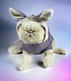 Bunny Boo Kedi Tulumu Kedi Kıyafeti