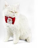 Santa Neo Kedi Papyonu Kurdela Tasma Yılbaşı Noel