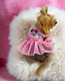 Pinky Minnie Tütülü Köpek Elbisesi, Kıyafeti Tutu