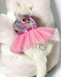 Pinky Minnie Polar Tütülü Kedi Elbisesi, Kıyafeti Tutu