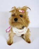 Yassi Glitz Köpek Elbisesi, Köpek Kıyafeti