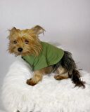 Grass Green Köpek Gömleği Köpek Kıyafeti Köpek Elbisesi