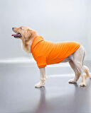 Orange Kapşonlu Sweatshirt, Orta ve Büyük Irklar İçin