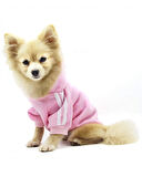 Baby Pink Adidog Kapşonlu Sweatshirt Köpek Kazağı