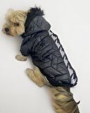 Luxy Black Köpek Montu, Köpek Ceketi, Köpek Dış Giyim