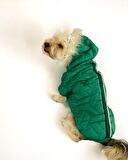 Luxy Green Köpek Montu, Köpek Ceketi, Köpek Dış Giyim